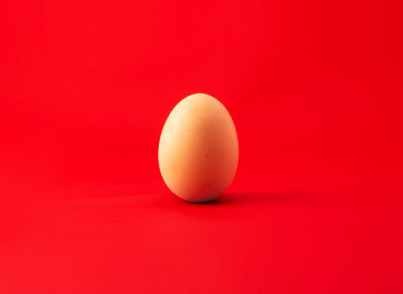 как вернуть страховку по кредиту в МТС Банке: образец заявления, сроки, отказ - фото - 1
